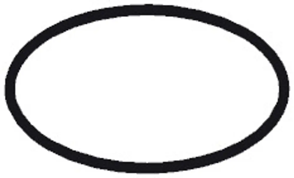 Schwarzer O-Ring in ovaler Form, hergestellt von Hansgrohe, auf weißem Hintergrund mit gleichmäßiger Dicke.